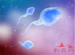 有去江苏做供卵试管的吗，【江苏供卵、北京供卵医院哪家好点】备孕三个月，