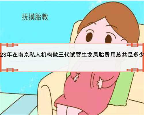 2023年在南京私人机构做三代试管生龙凤胎费用总共是多少？